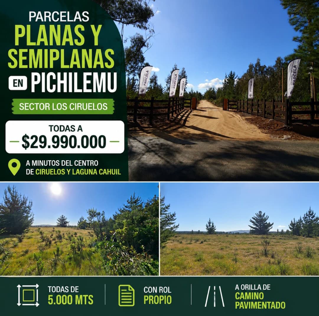 Alto Pichilemu II_6a893af893eea.jpeg